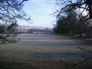 Frosty fields.JPG